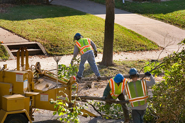 Best Aeration Services  in August, CA